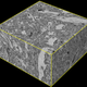 3D representation of a brain slice following ASC preservation.